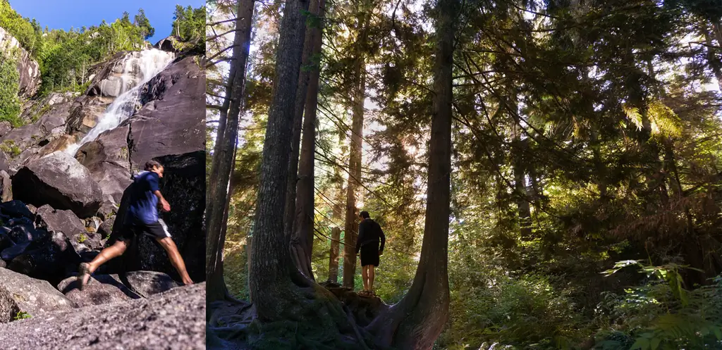 Shannon Falls Provincial Park is just south of Squamish, and is home to the third tallest waterfall in British Columbia, towering 335 meters high. It's surrounded by cliffs that are super fun for exploring, some great rock climbing, and forested trails with glorious ancient trees