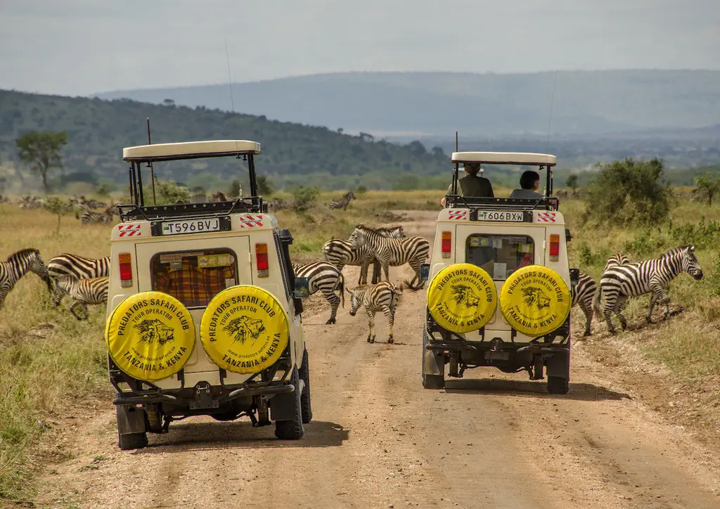 Peningkatan Wisata Satwa Liar Di Afrika Mendorong Hewan-hewan Pergi