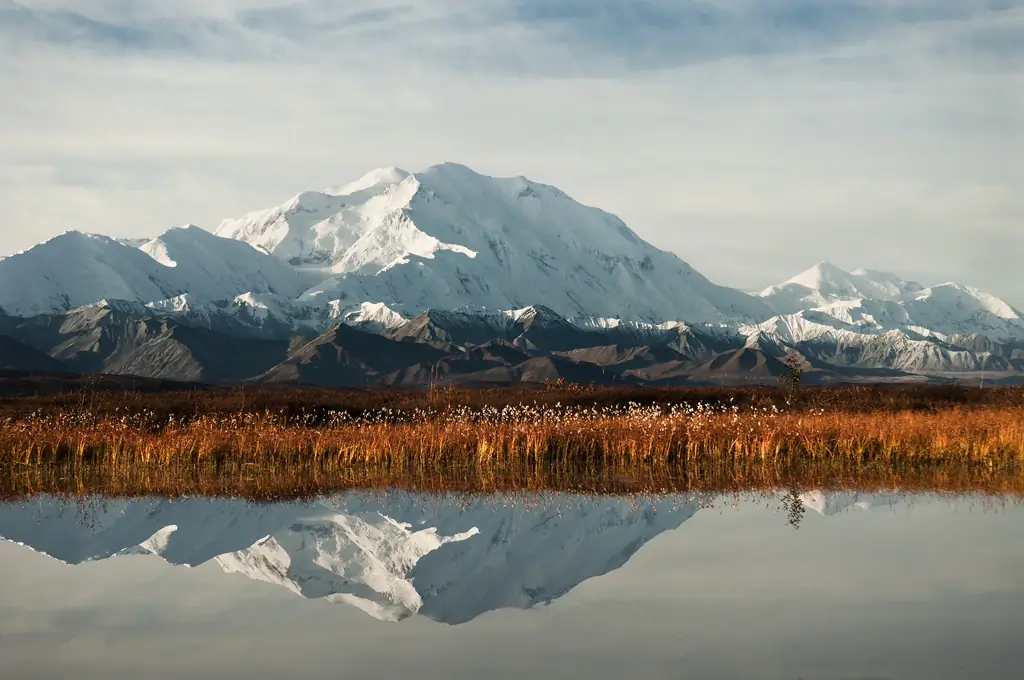 12 Imágenes Que Prueban Que El Parque Nacional Denali Debería Estar En La Parte Superior De Su Lista De Deseos - Matador Network