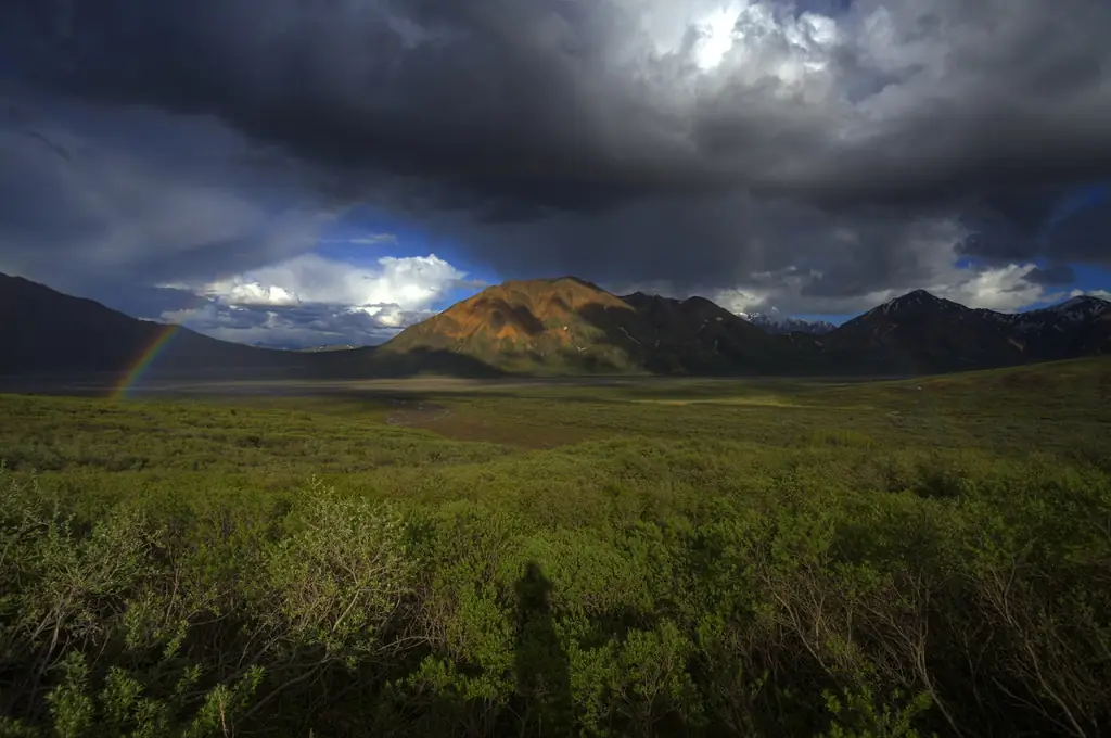 Photo: Denali National Park and Preserve