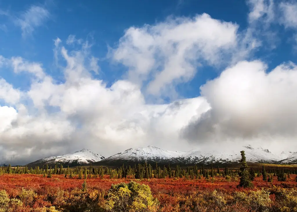 Photo: Denali National Park and Preserve