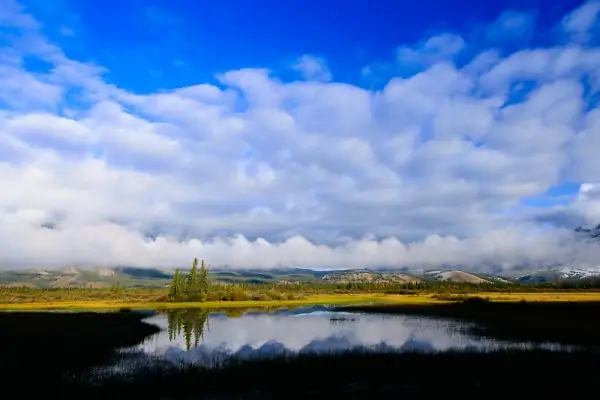 Poesía visual