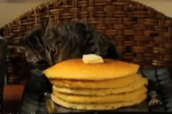 a cat swipes the top pancake from a large stack